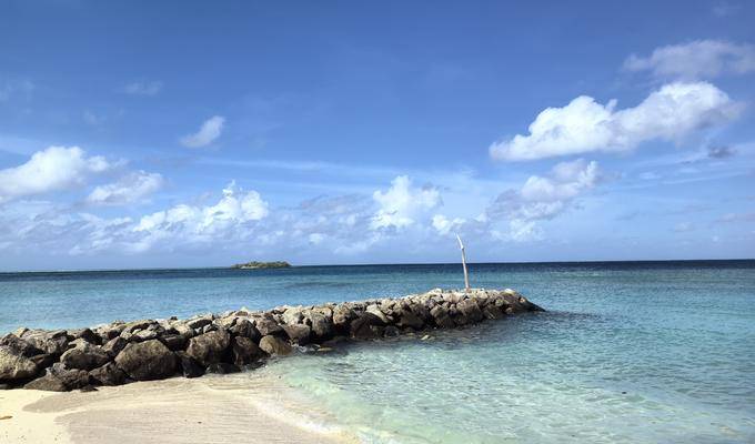 第一次去Maldives当然要dive：居民岛Rasdhoo+吉隆坡10日